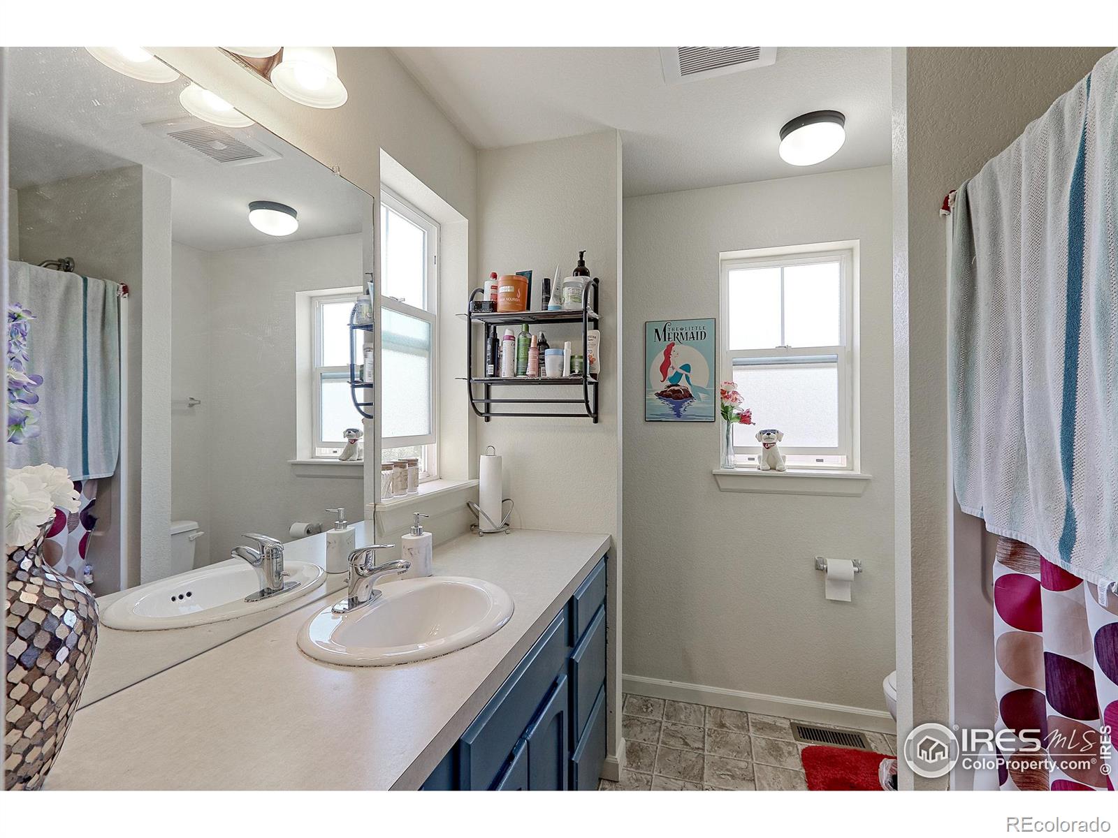 MLS Image #10 for 1257  hummingbird circle,longmont, Colorado