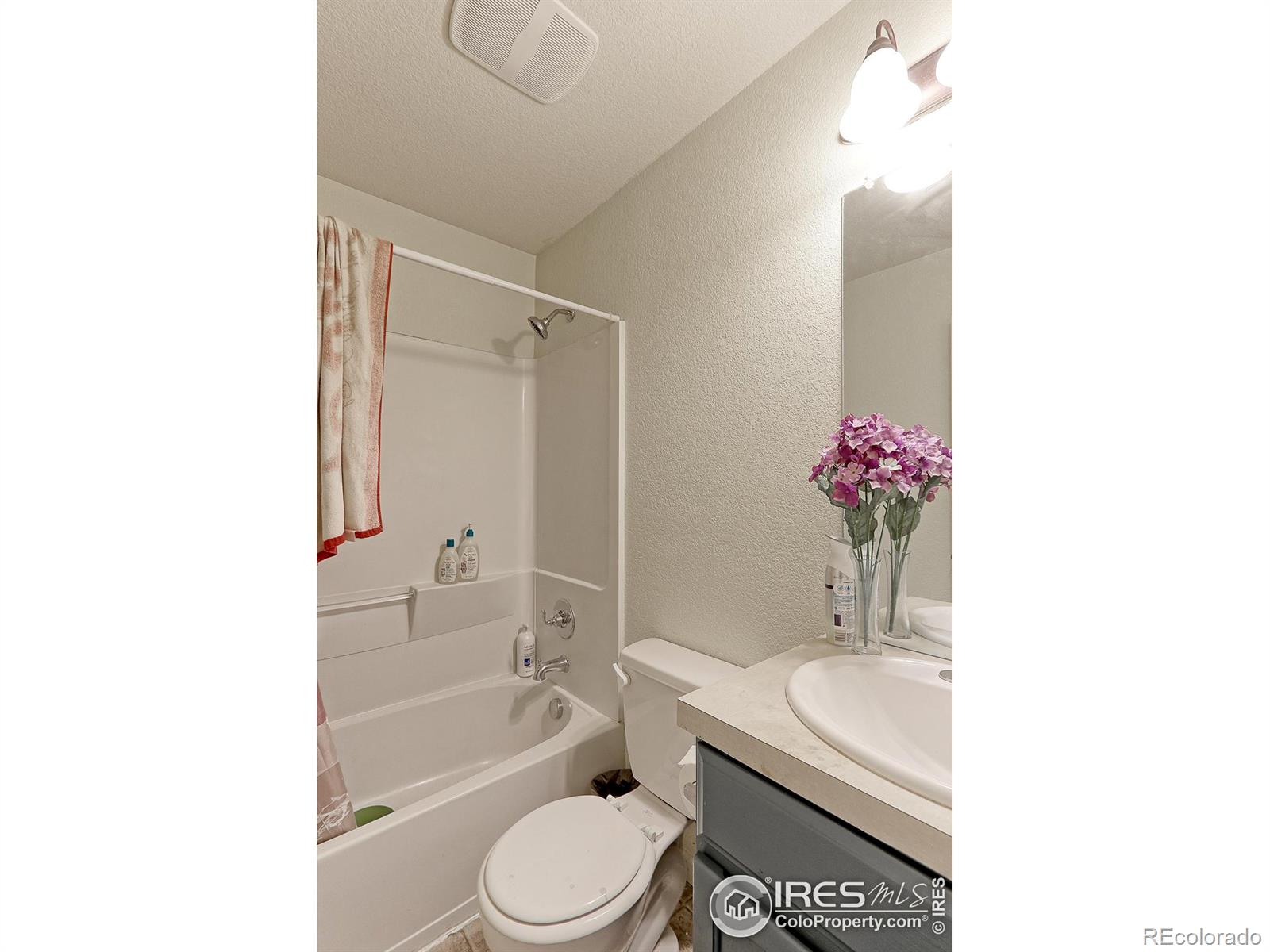 MLS Image #12 for 1257  hummingbird circle,longmont, Colorado