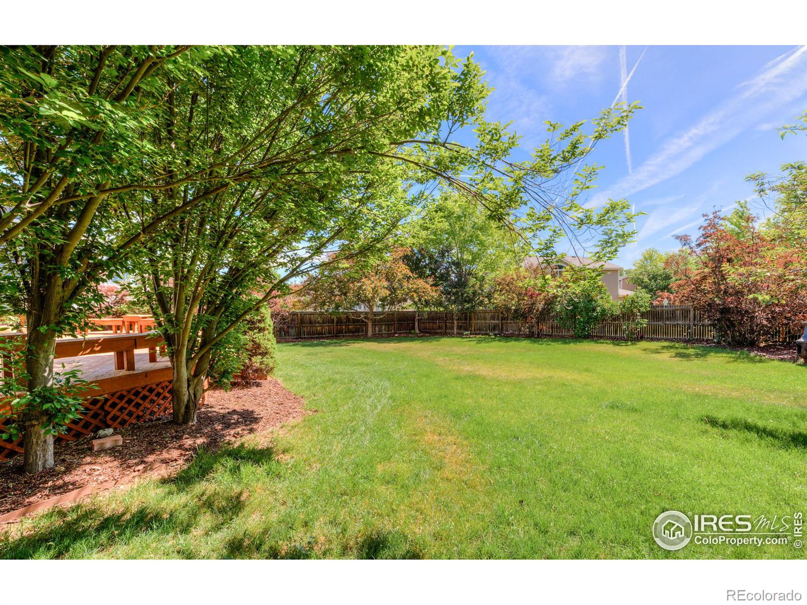 MLS Image #11 for 2888  blue jay way,lafayette, Colorado