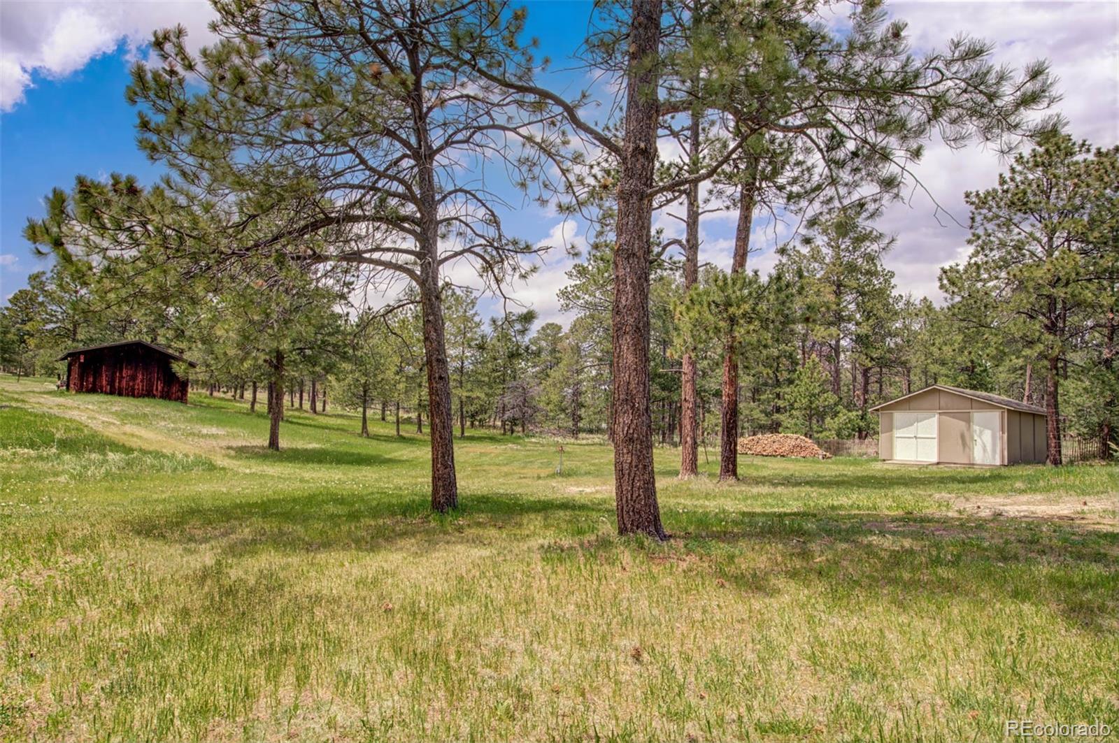 MLS Image #33 for 11340  pine meadows road,colorado springs, Colorado