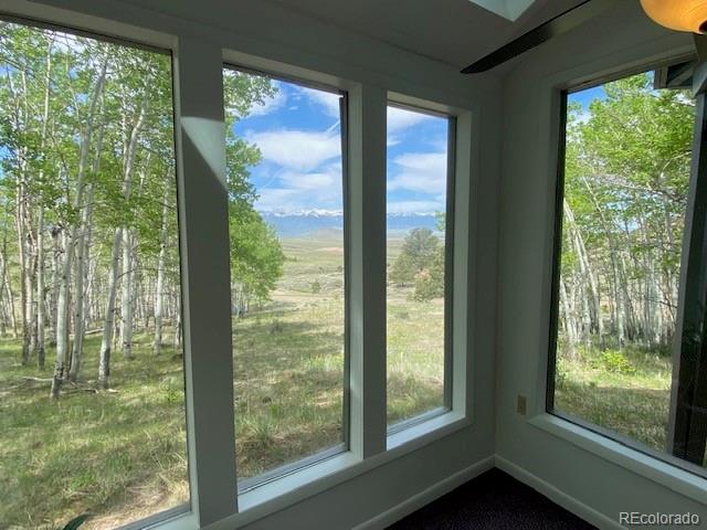 MLS Image #30 for 176  tyndall road ,silver cliff, Colorado