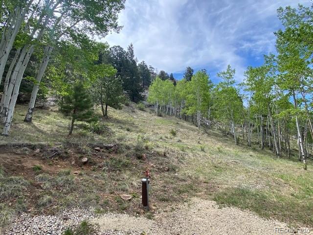 MLS Image #5 for 176  tyndall road ,silver cliff, Colorado