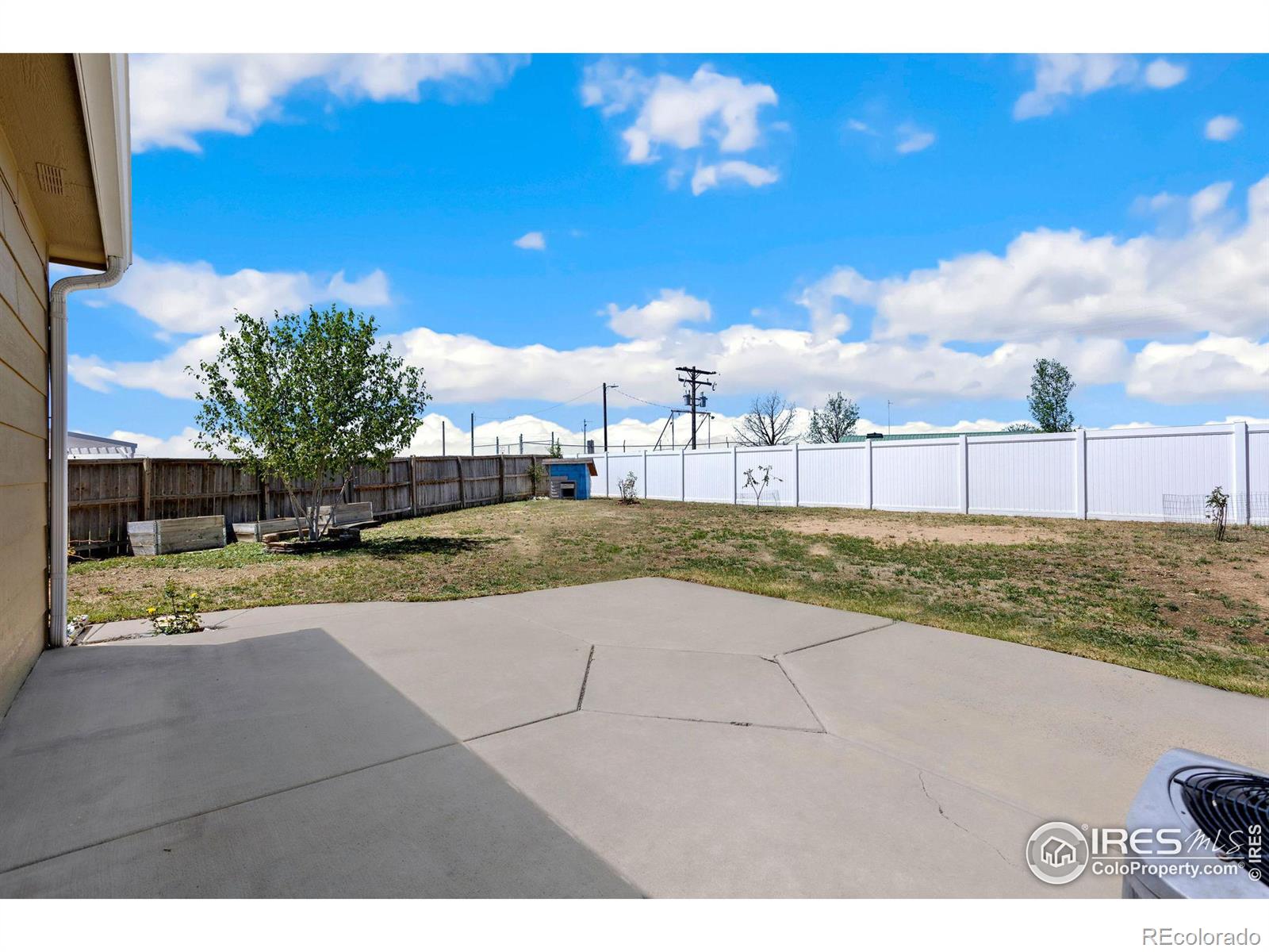 MLS Image #13 for 2535  bearwood avenue,greeley, Colorado