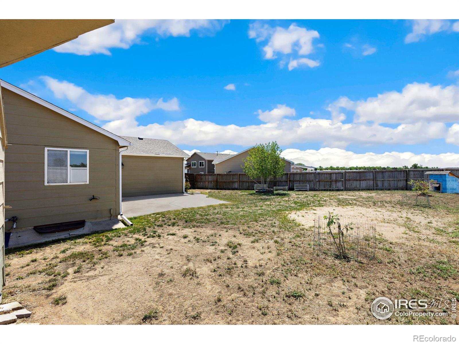 MLS Image #14 for 2535  bearwood avenue,greeley, Colorado