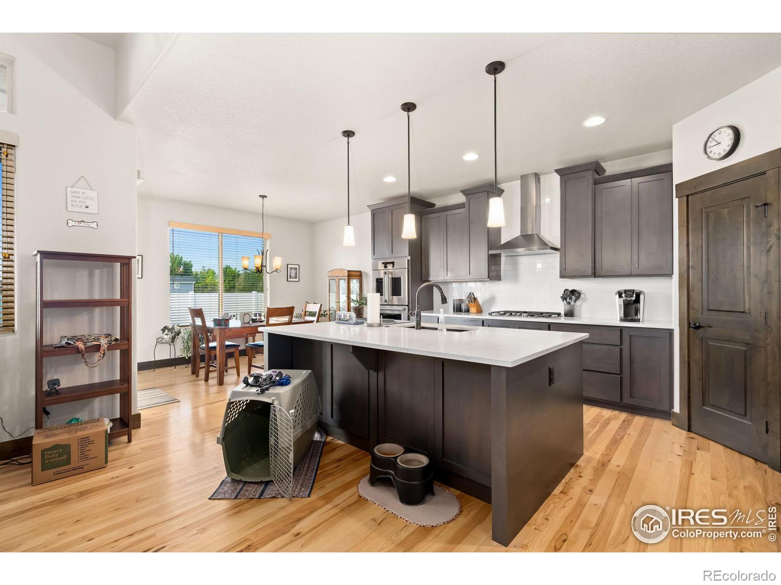 MLS Image #11 for 462  vermilion peak drive,windsor, Colorado