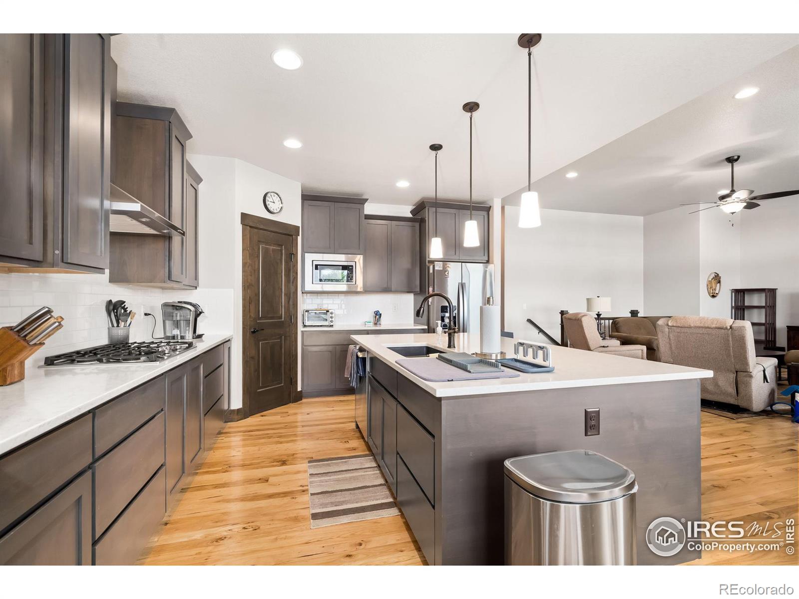 MLS Image #12 for 462  vermilion peak drive,windsor, Colorado