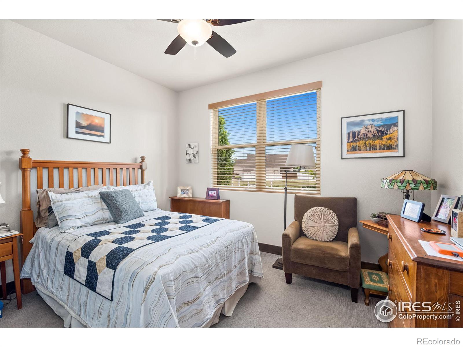 MLS Image #17 for 462  vermilion peak drive,windsor, Colorado