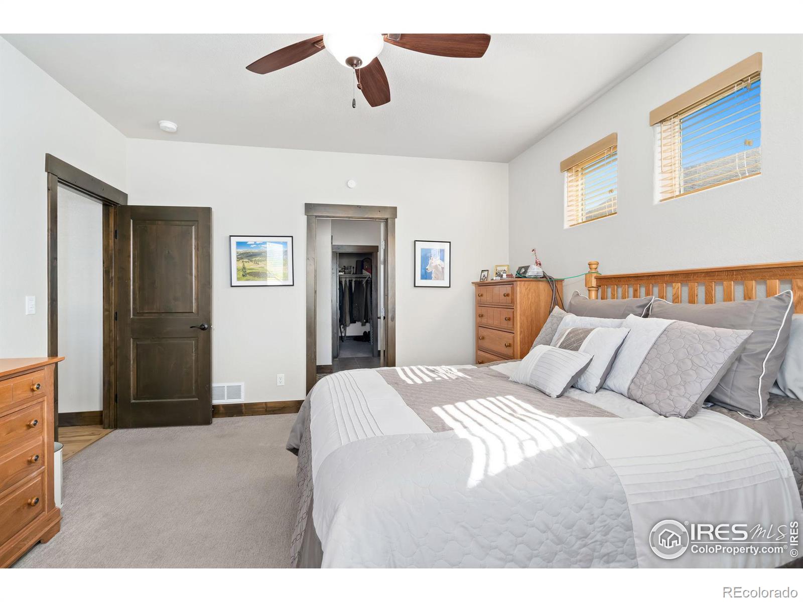 MLS Image #21 for 462  vermilion peak drive,windsor, Colorado