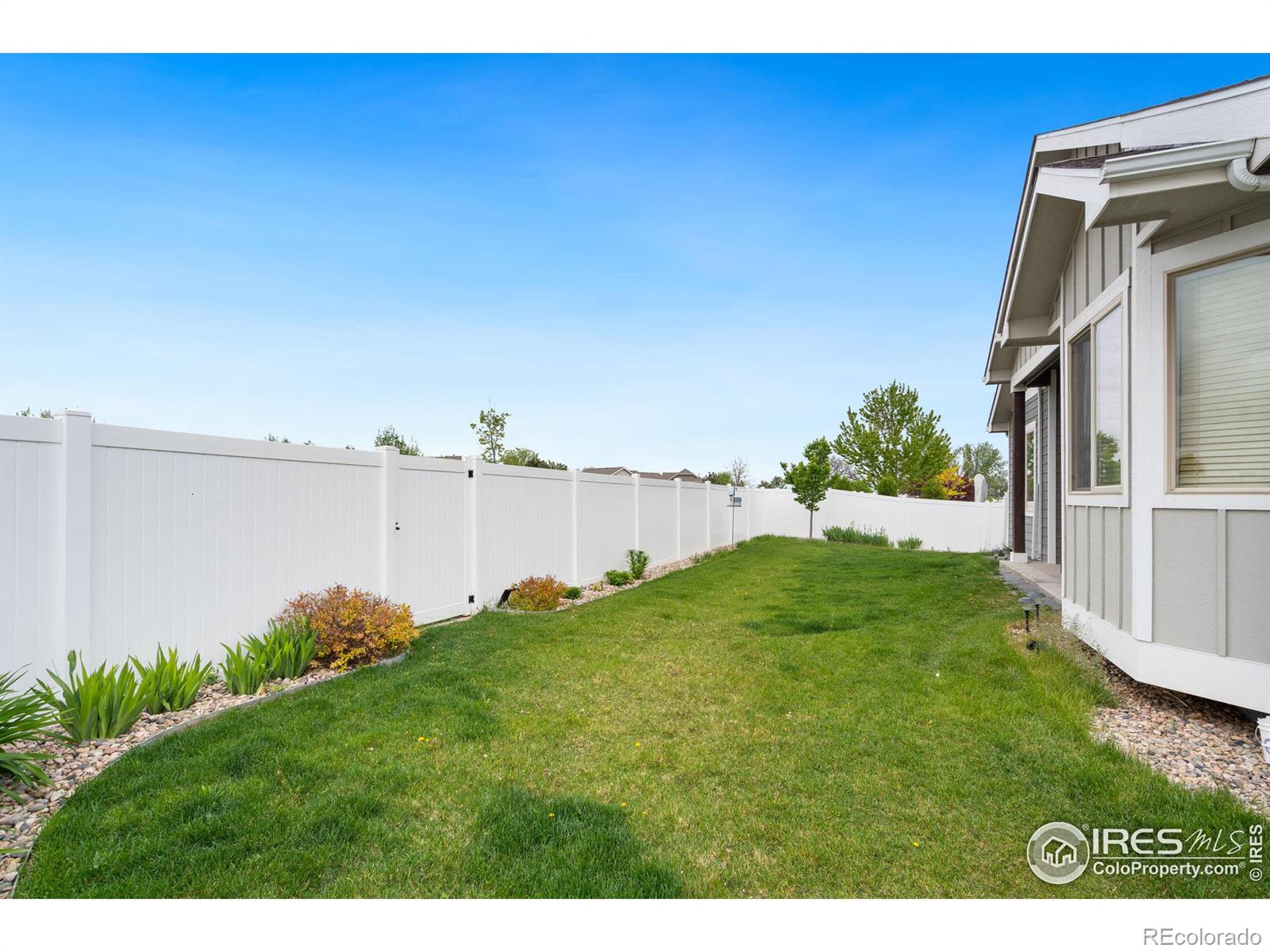 MLS Image #3 for 462  vermilion peak drive,windsor, Colorado