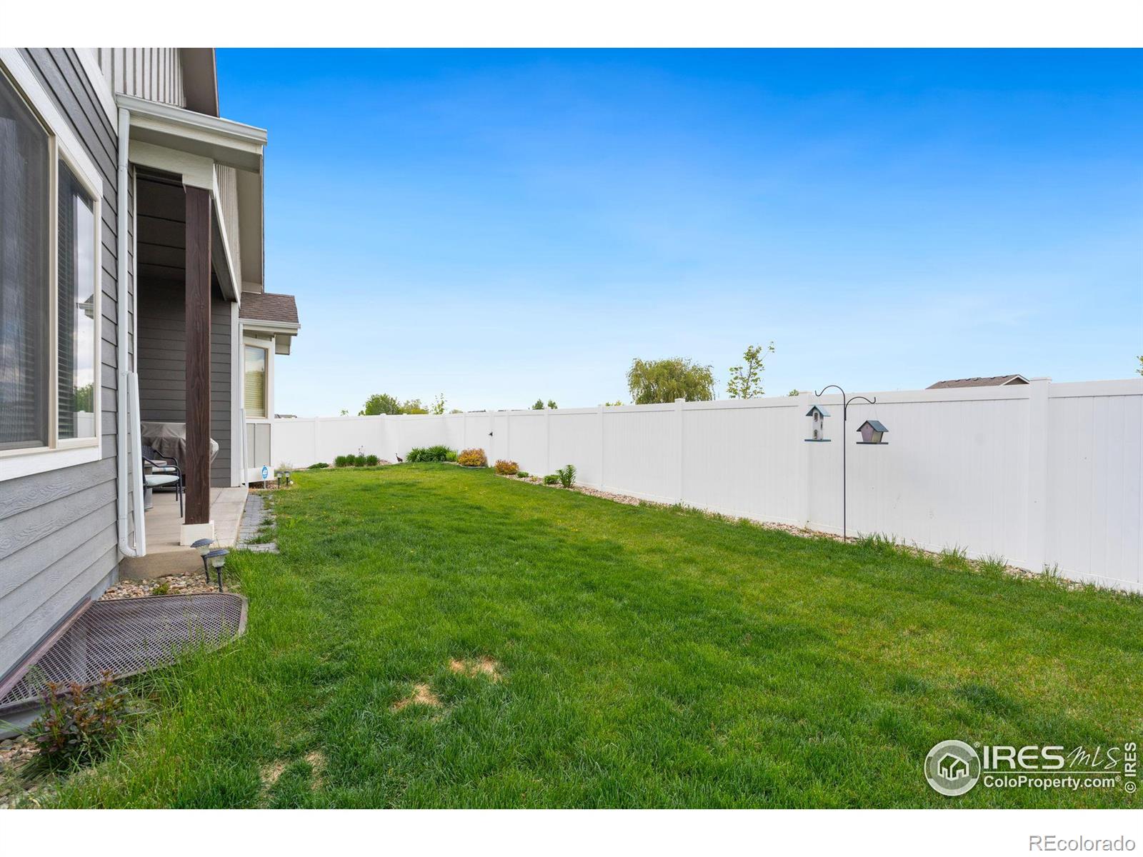 MLS Image #8 for 462  vermilion peak drive,windsor, Colorado