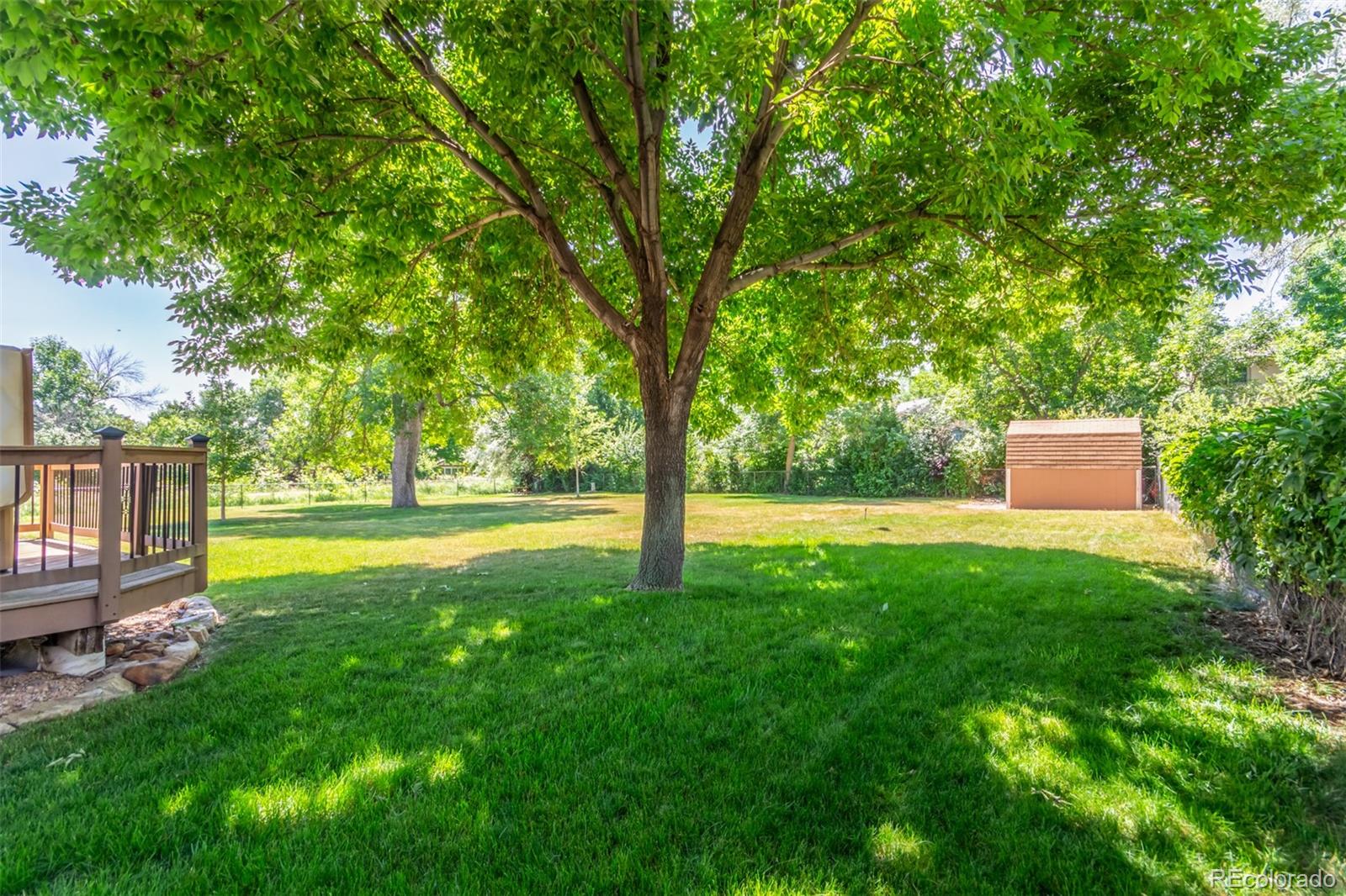 MLS Image #40 for 2801  15th avenue,longmont, Colorado