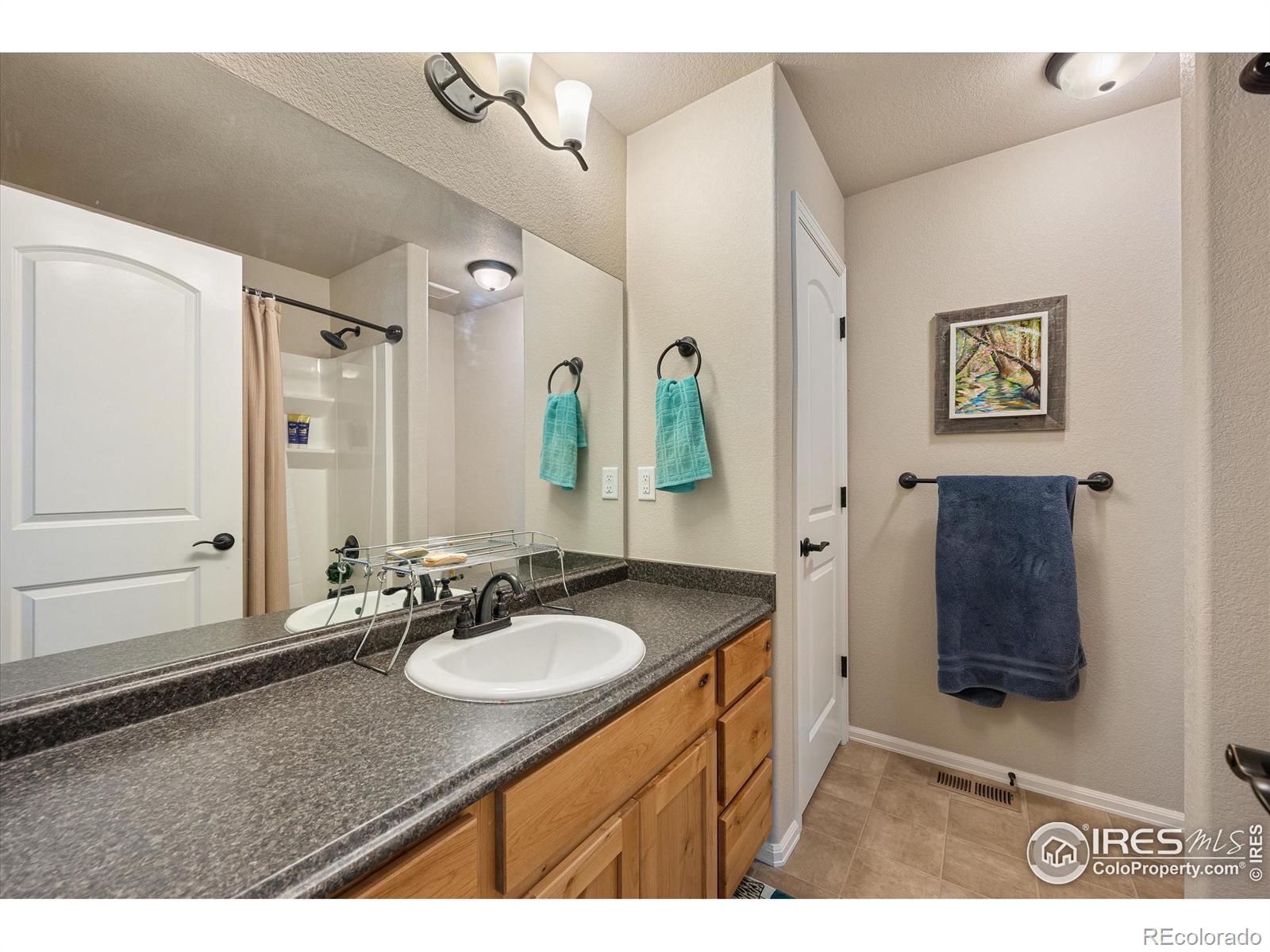 MLS Image #22 for 802  mt sneffels avenue,severance, Colorado