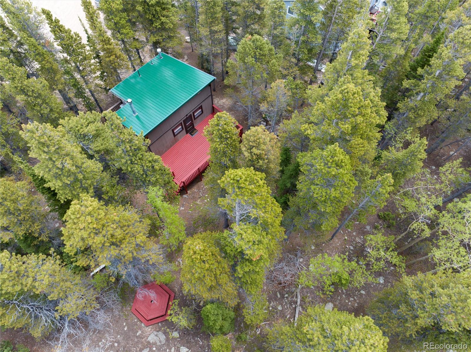 MLS Image #2 for 48  elk court,idaho springs, Colorado