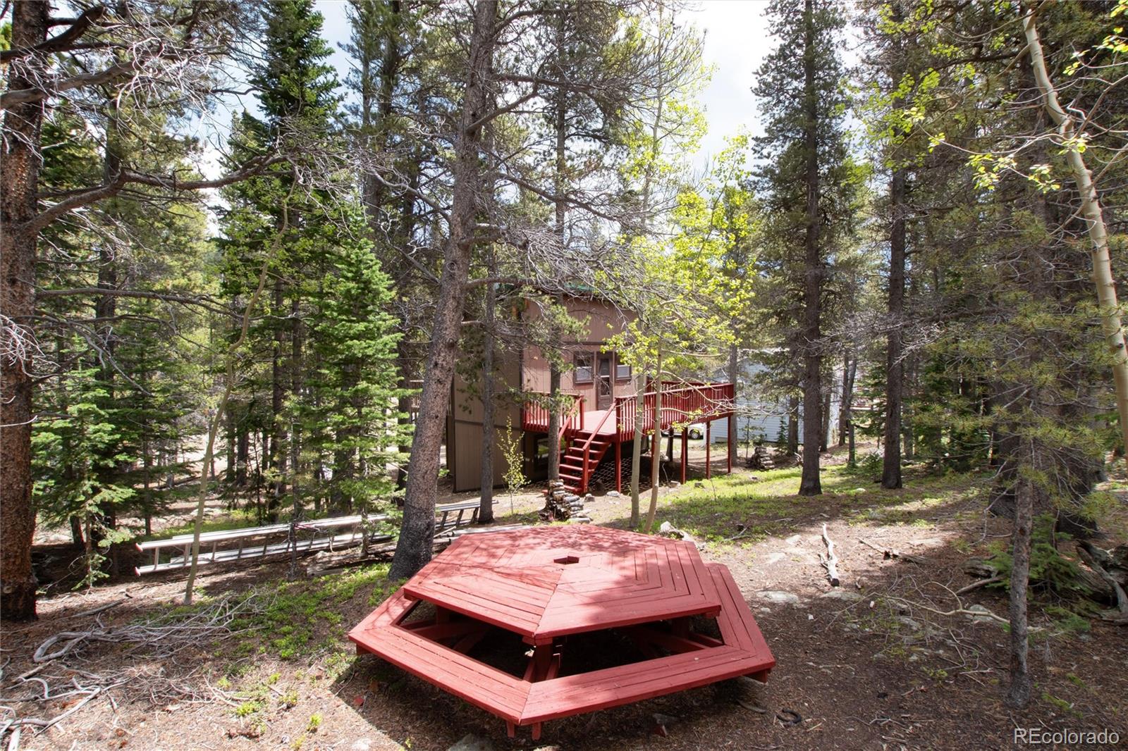 MLS Image #5 for 48  elk court,idaho springs, Colorado