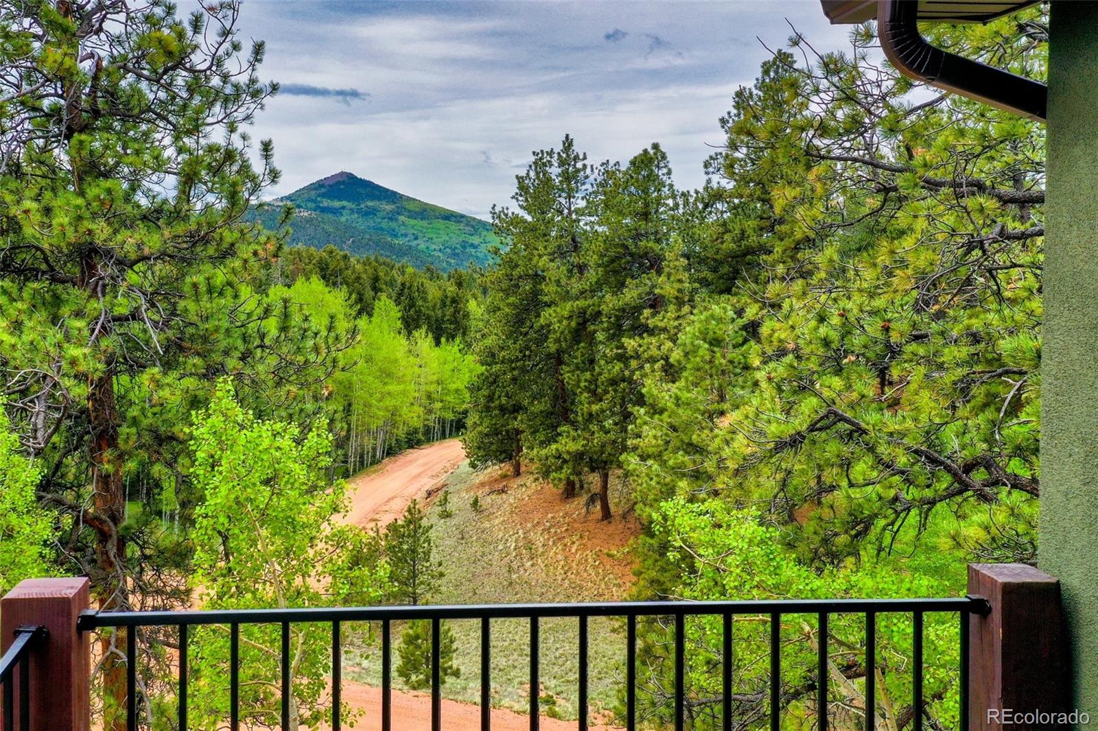 MLS Image #4 for 56  mariposa circle,cripple creek, Colorado