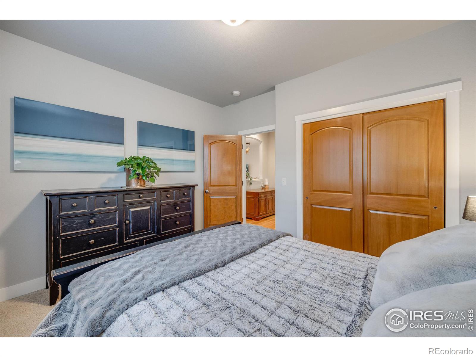 MLS Image #18 for 7089  spanish bay drive,windsor, Colorado