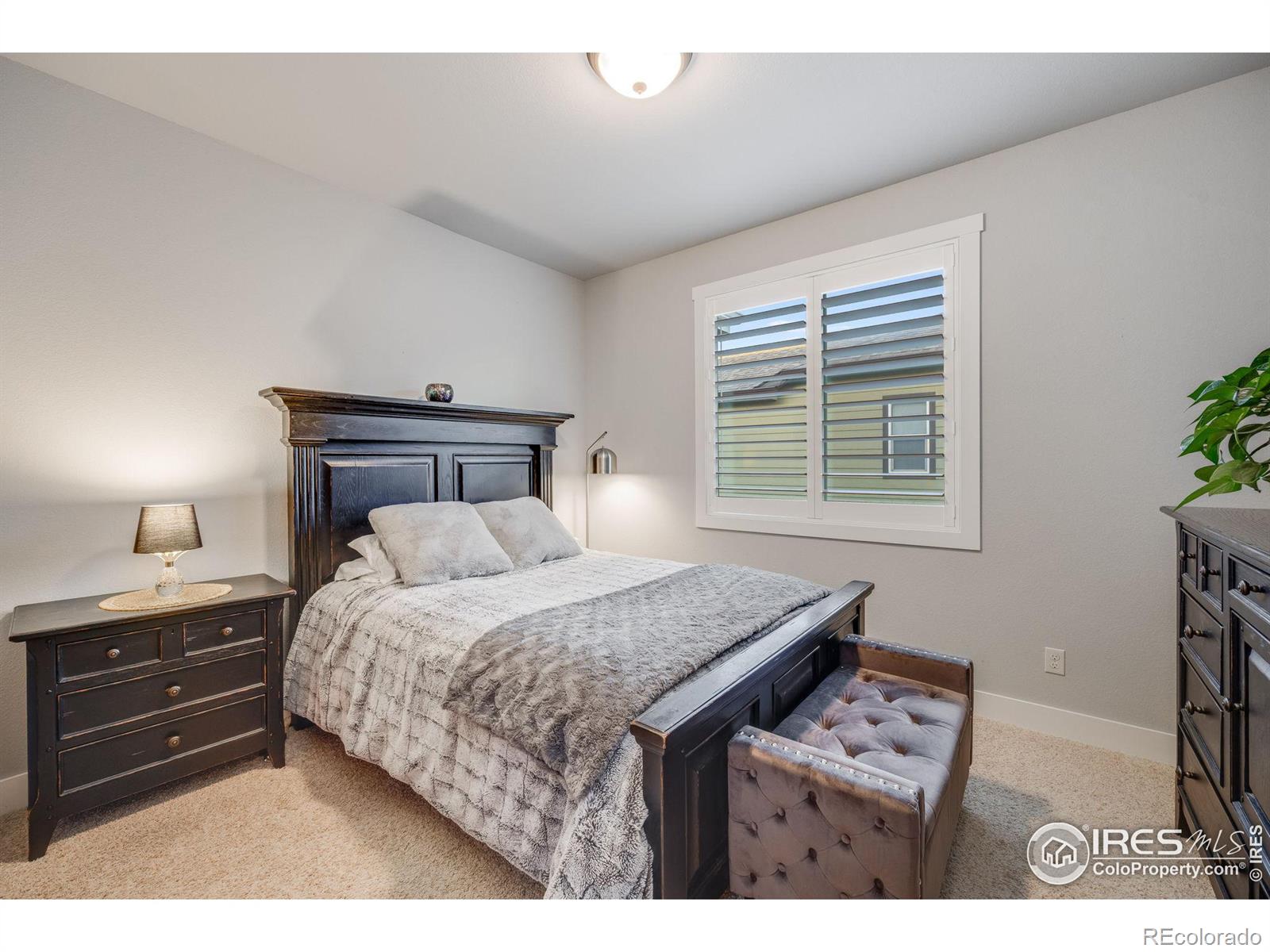 MLS Image #19 for 7089  spanish bay drive,windsor, Colorado