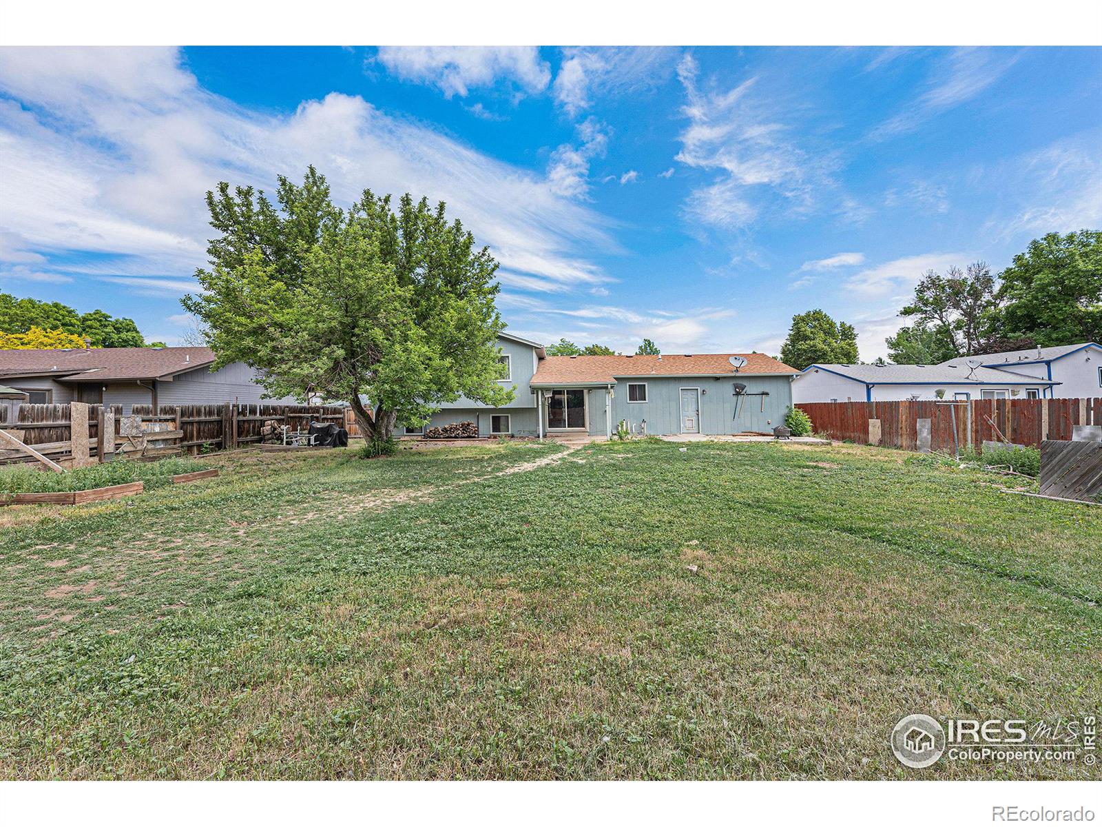 MLS Image #16 for 1428  avondale place,loveland, Colorado