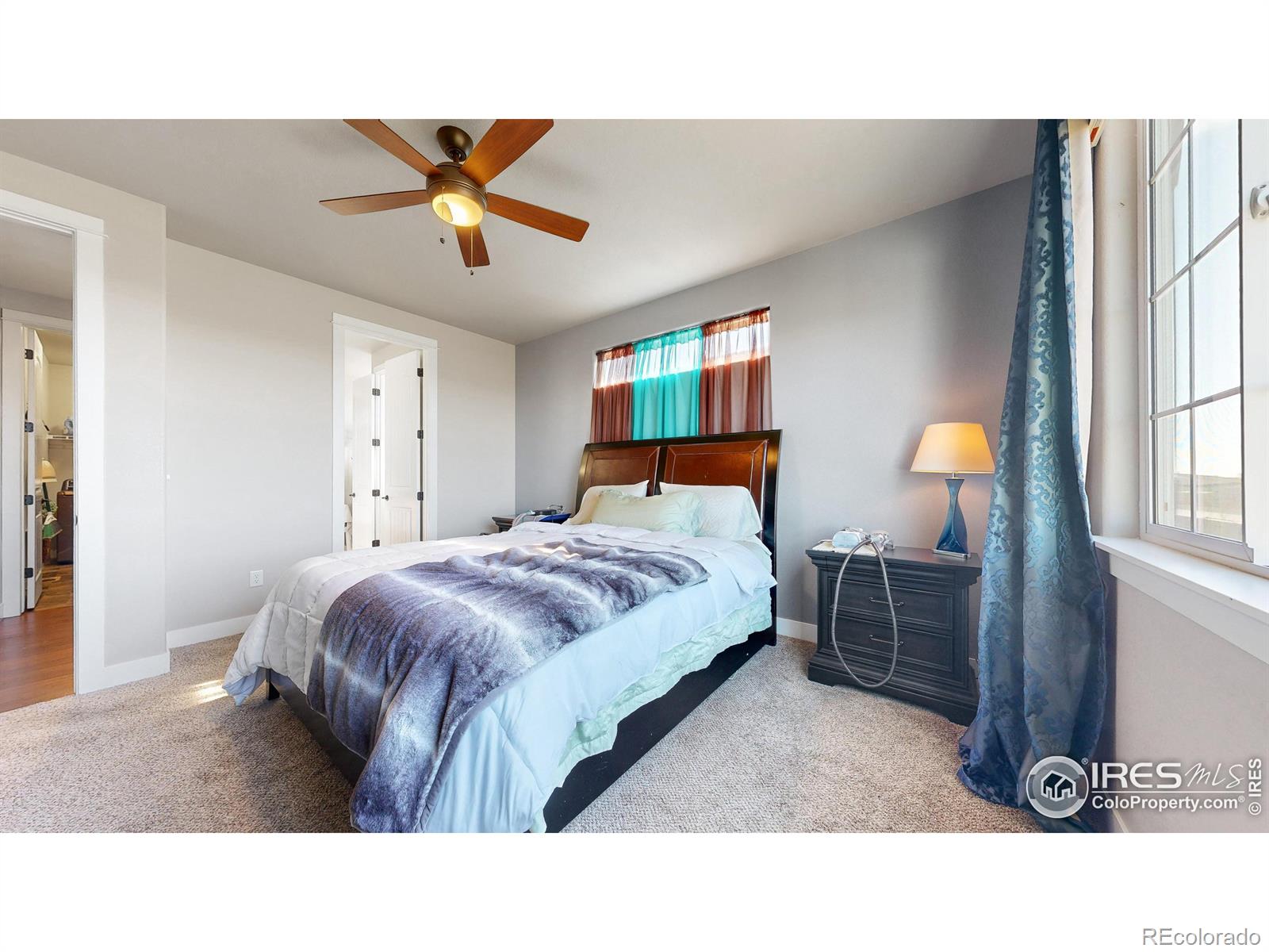 MLS Image #13 for 1057  mount columbia drive,severance, Colorado