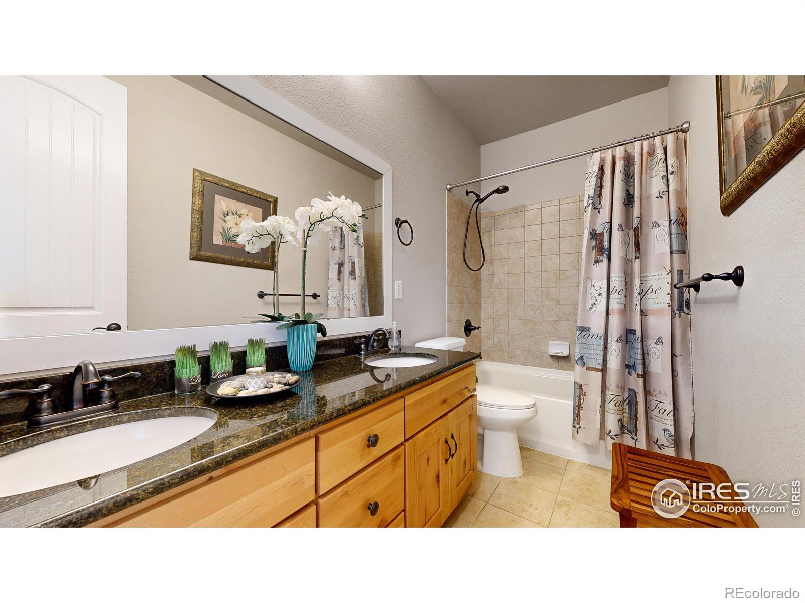 MLS Image #20 for 1057  mount columbia drive,severance, Colorado