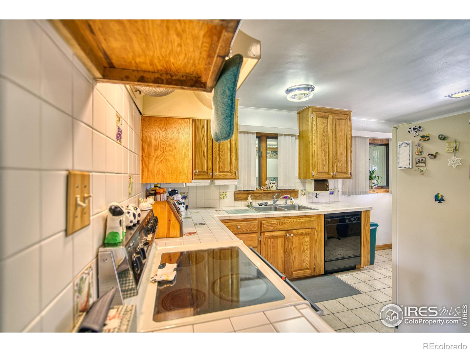 MLS Image #10 for 2304  county road 12 ,erie, Colorado