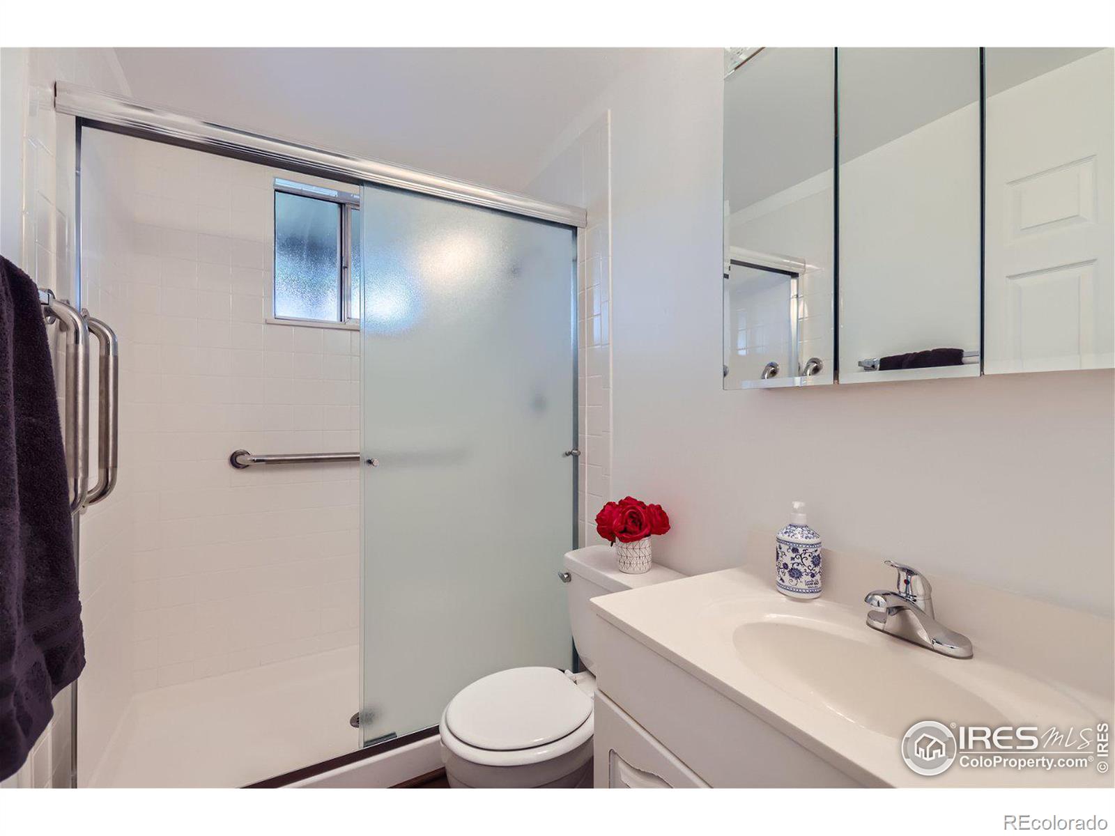 MLS Image #18 for 1021  tony place,longmont, Colorado