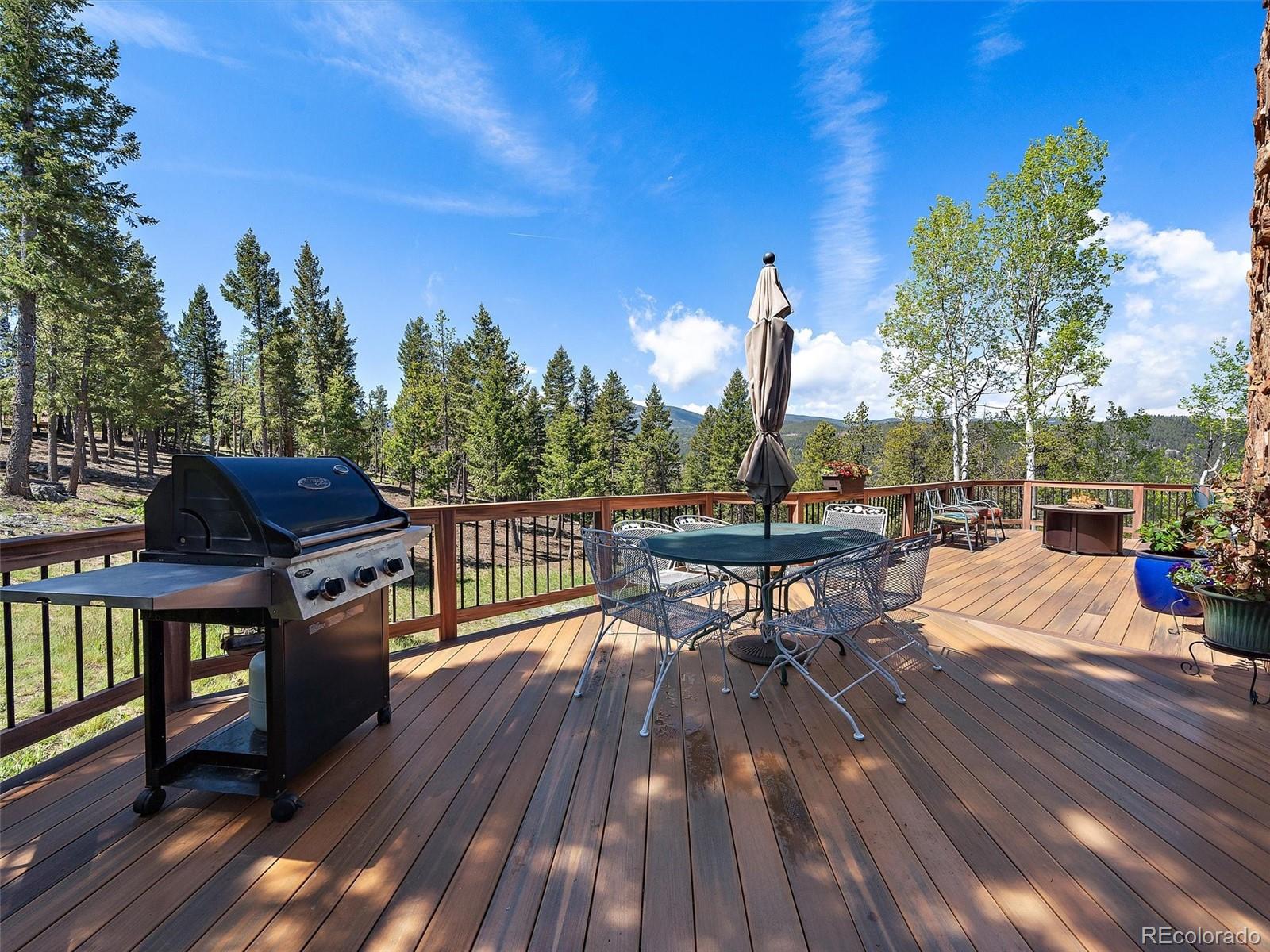 MLS Image #11 for 7825  swaps trail,evergreen, Colorado