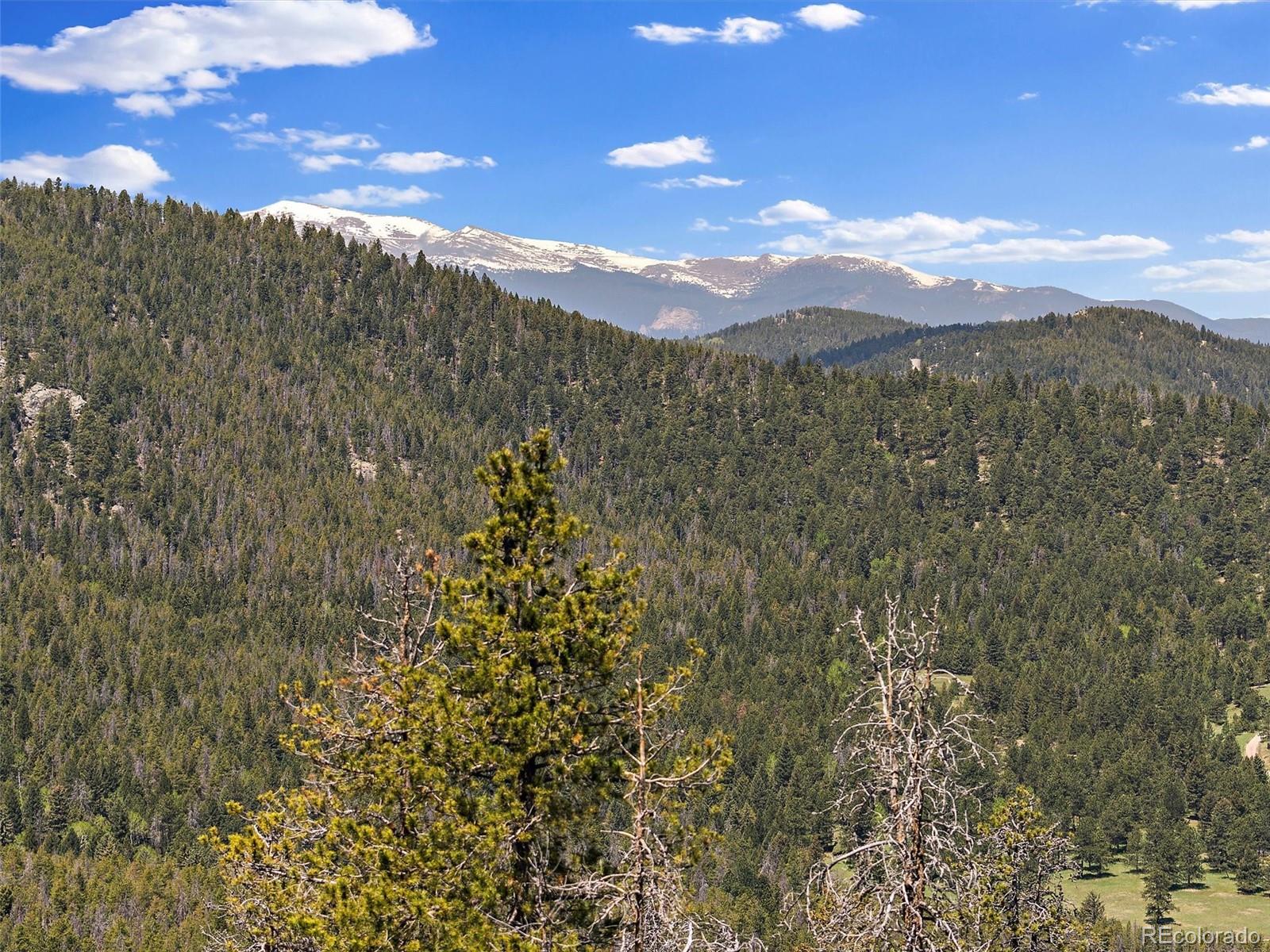MLS Image #15 for 7825  swaps trail,evergreen, Colorado