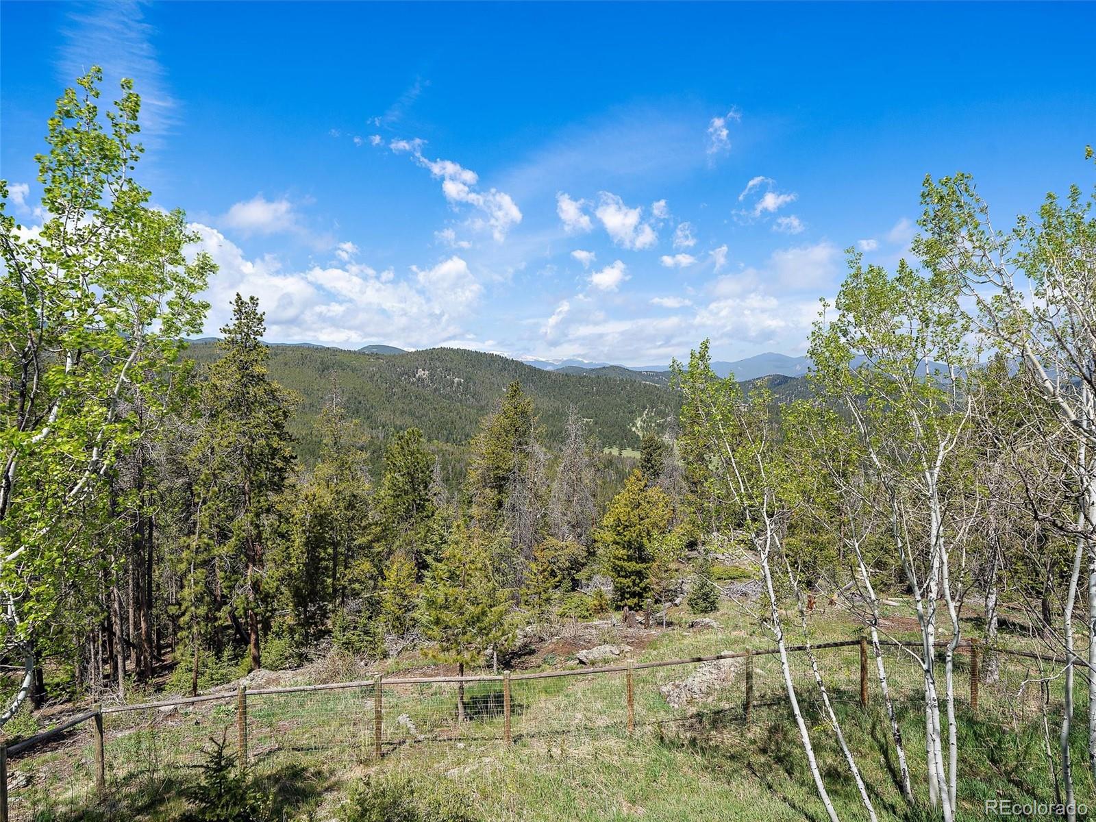 MLS Image #32 for 7825  swaps trail,evergreen, Colorado