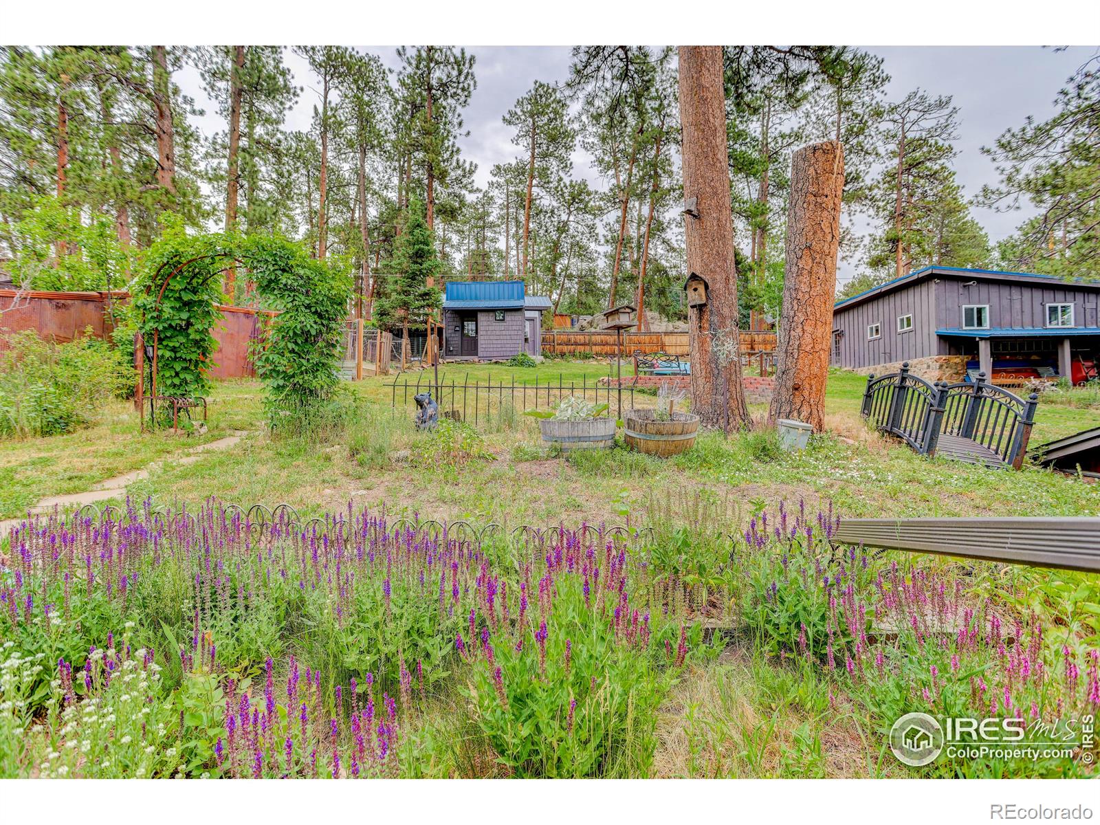 MLS Image #39 for 4546  parmalee gulch road,indian hills, Colorado