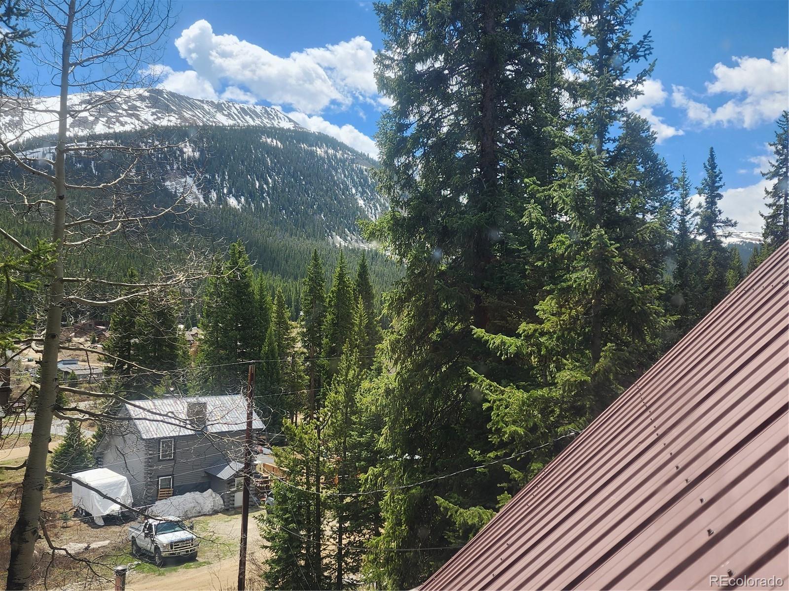 MLS Image #12 for 573  97 circle,breckenridge, Colorado