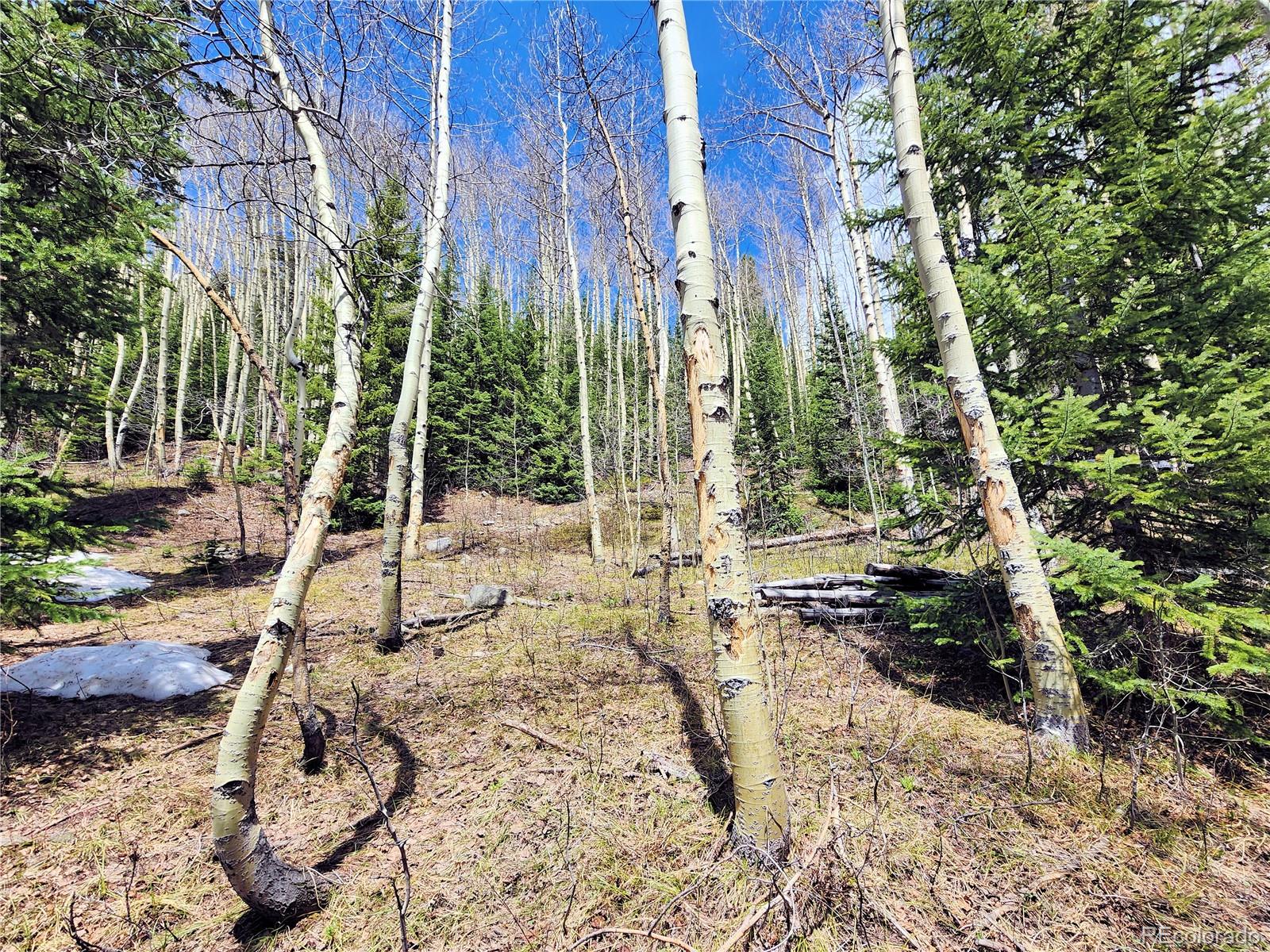 MLS Image #30 for 573  97 circle,breckenridge, Colorado