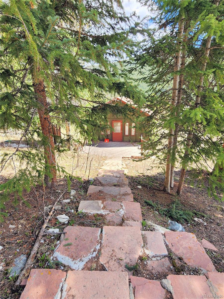 MLS Image #31 for 573  97 circle,breckenridge, Colorado