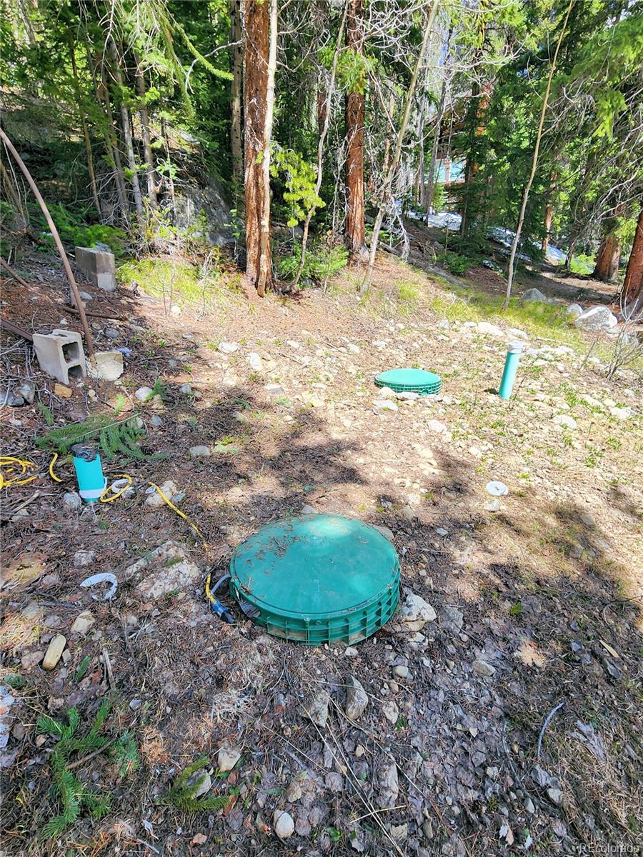 MLS Image #37 for 573  97 circle,breckenridge, Colorado