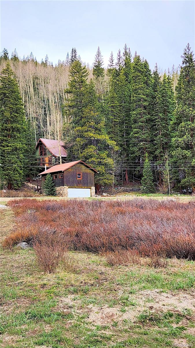 MLS Image #39 for 573  97 circle,breckenridge, Colorado