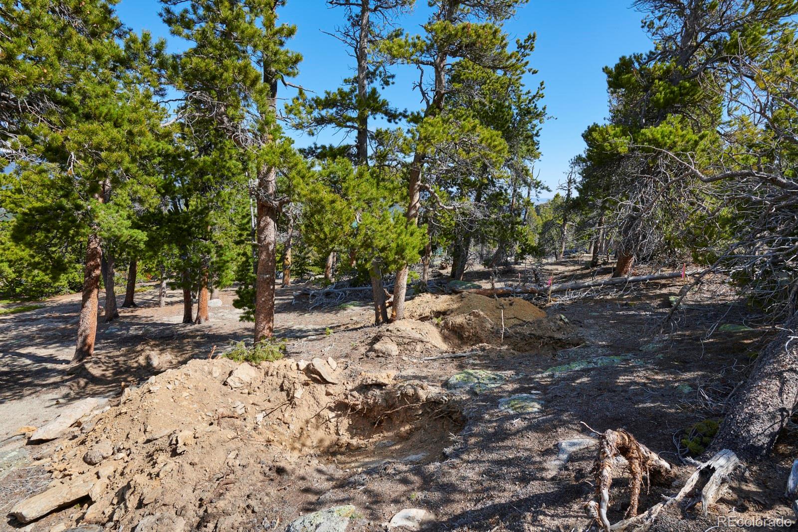 MLS Image #17 for 1509  wedgwood road,black hawk, Colorado