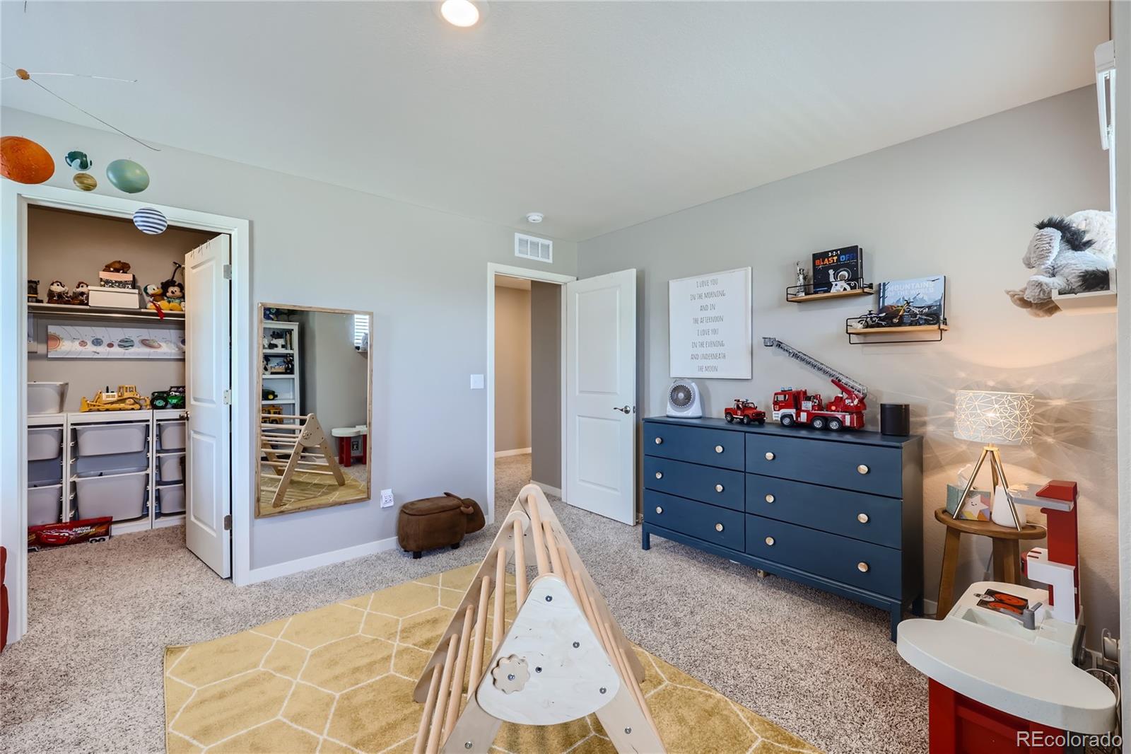 MLS Image #16 for 17376  rose mallow street,parker, Colorado