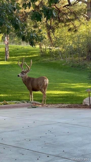 MLS Image #31 for 1076  country club estates drive,castle rock, Colorado