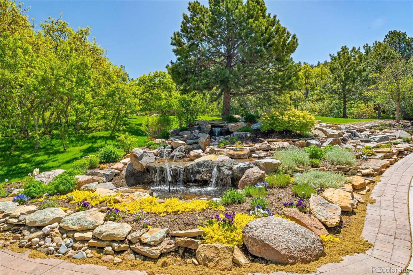 MLS Image #5 for 1076  country club estates drive,castle rock, Colorado