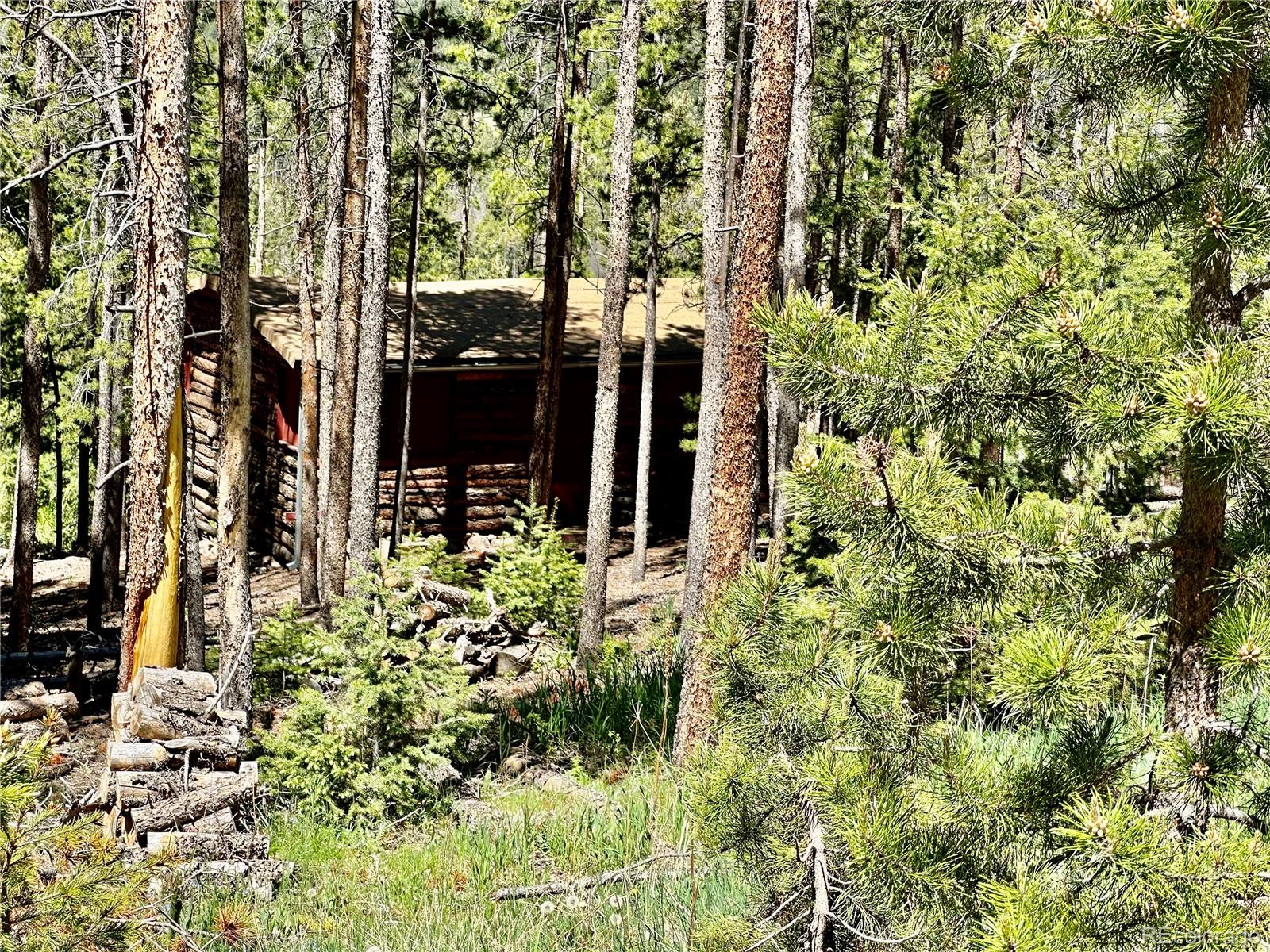 CMA Image for 12973  upper ridge road,Conifer, Colorado