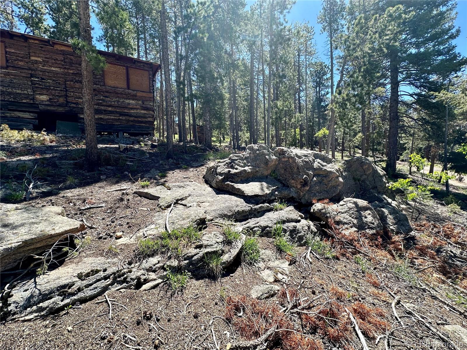 MLS Image #13 for 26380  pleasant park road,conifer, Colorado