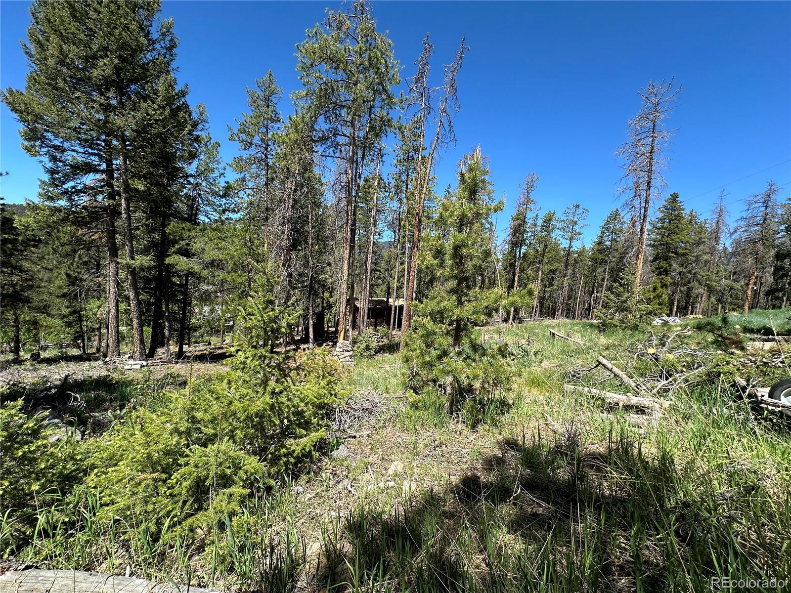 MLS Image #16 for 26380  pleasant park road,conifer, Colorado