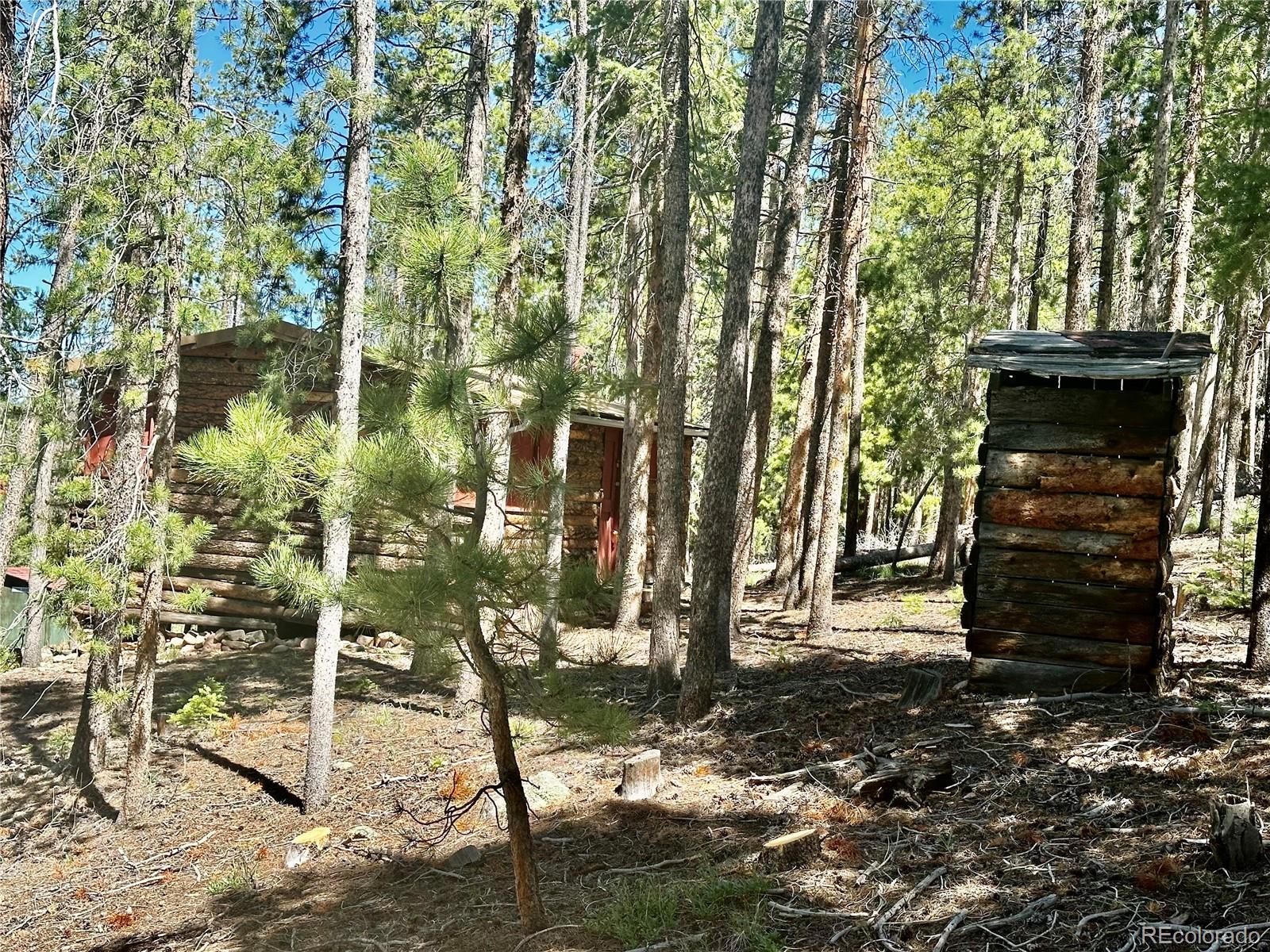 MLS Image #17 for 26380  pleasant park road,conifer, Colorado