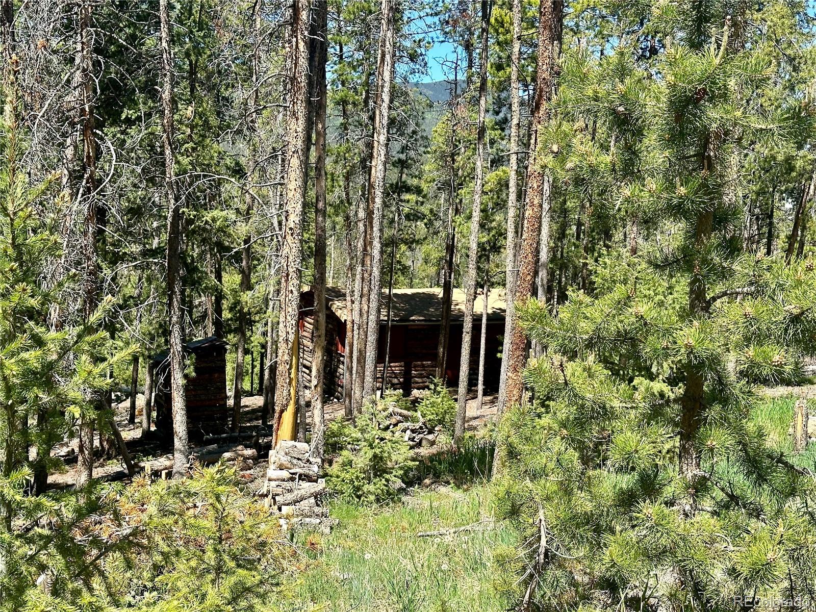 MLS Image #18 for 26380  pleasant park road,conifer, Colorado