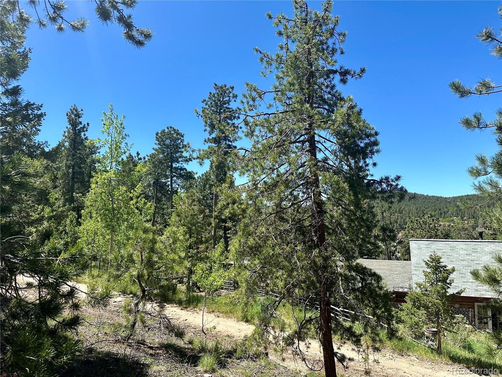 MLS Image #20 for 26380  pleasant park road,conifer, Colorado