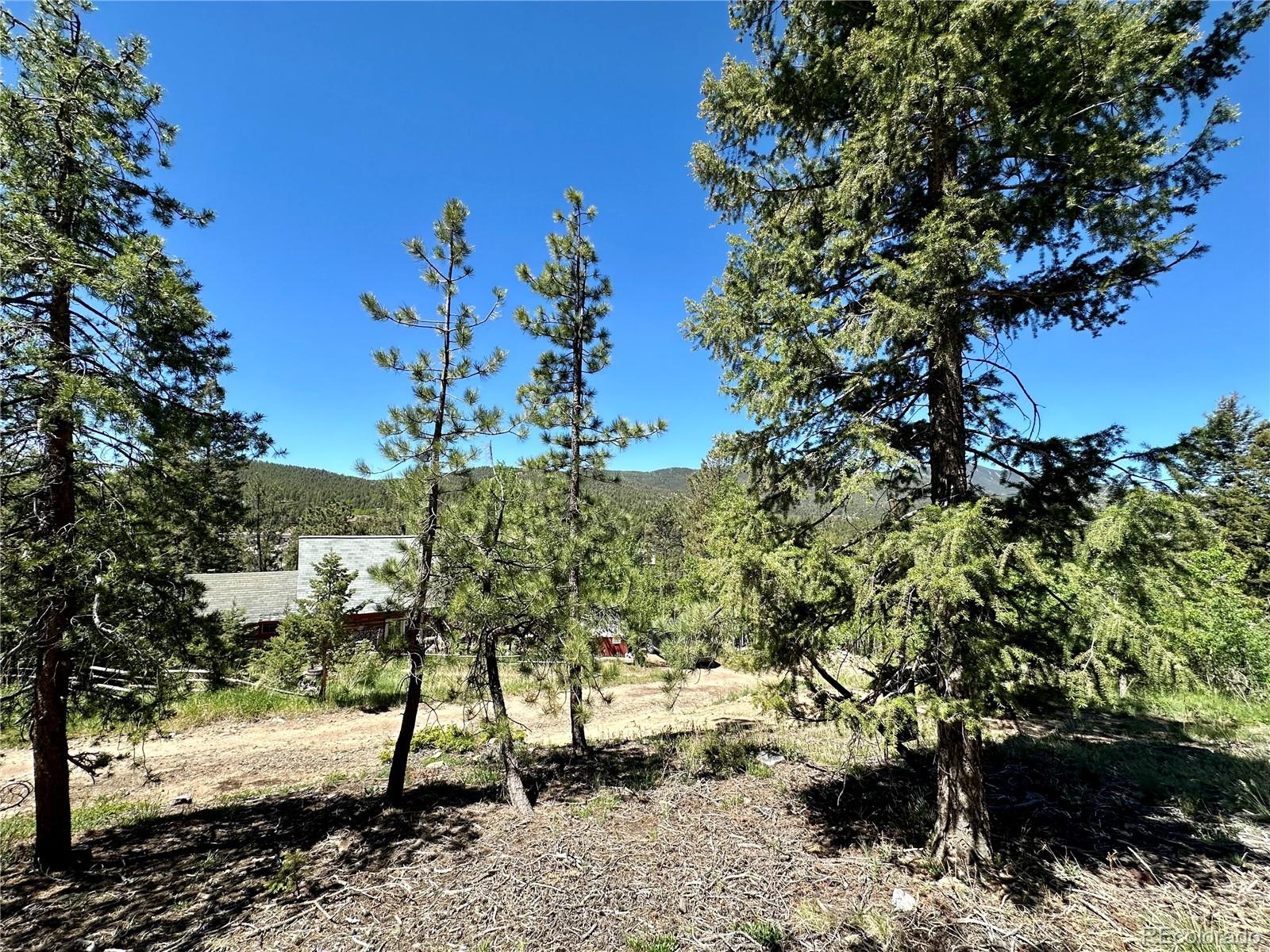 MLS Image #22 for 26380  pleasant park road,conifer, Colorado