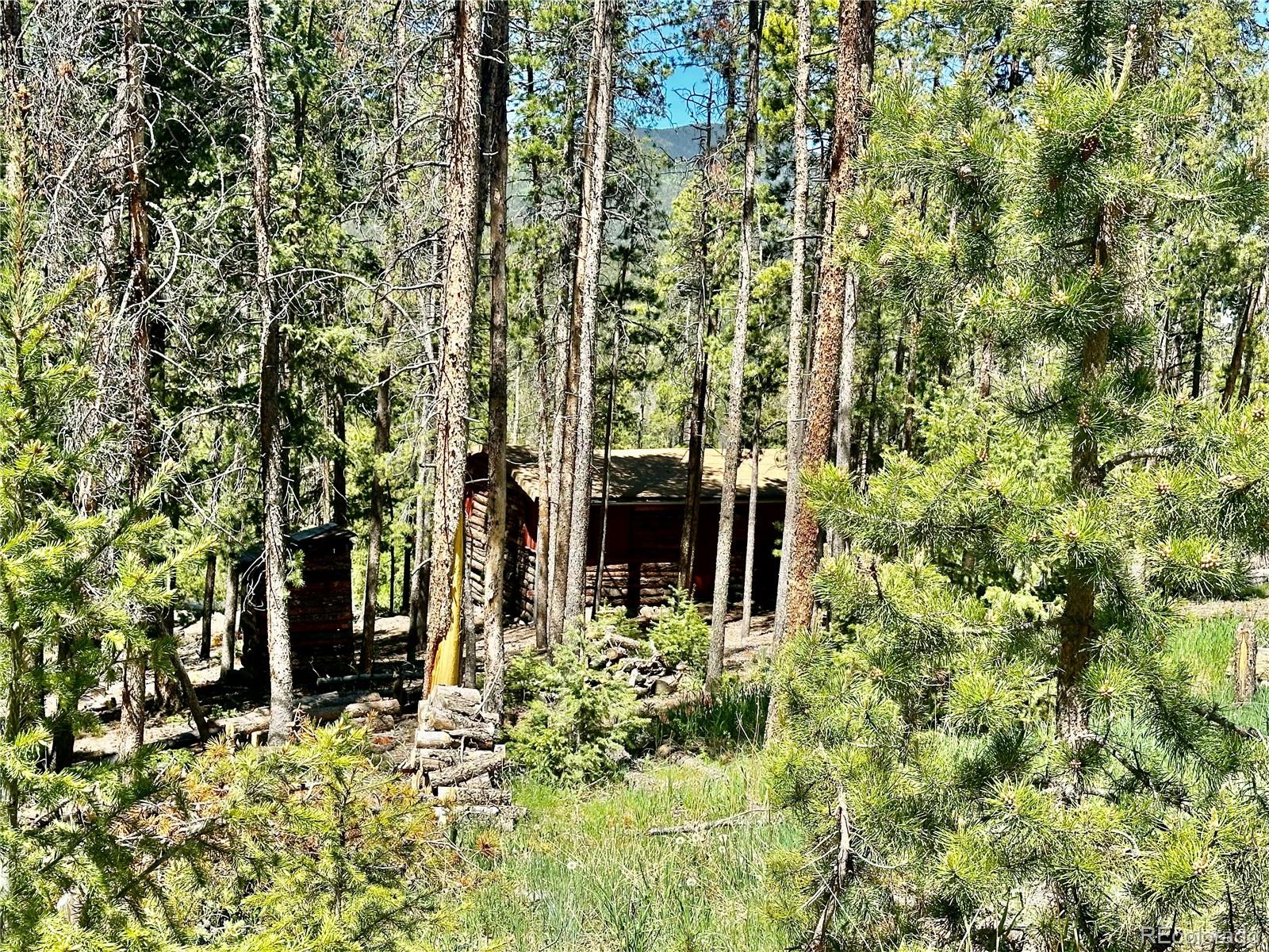 MLS Image #23 for 26380  pleasant park road,conifer, Colorado