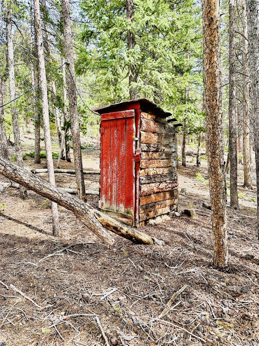 MLS Image #4 for 26380  pleasant park road,conifer, Colorado