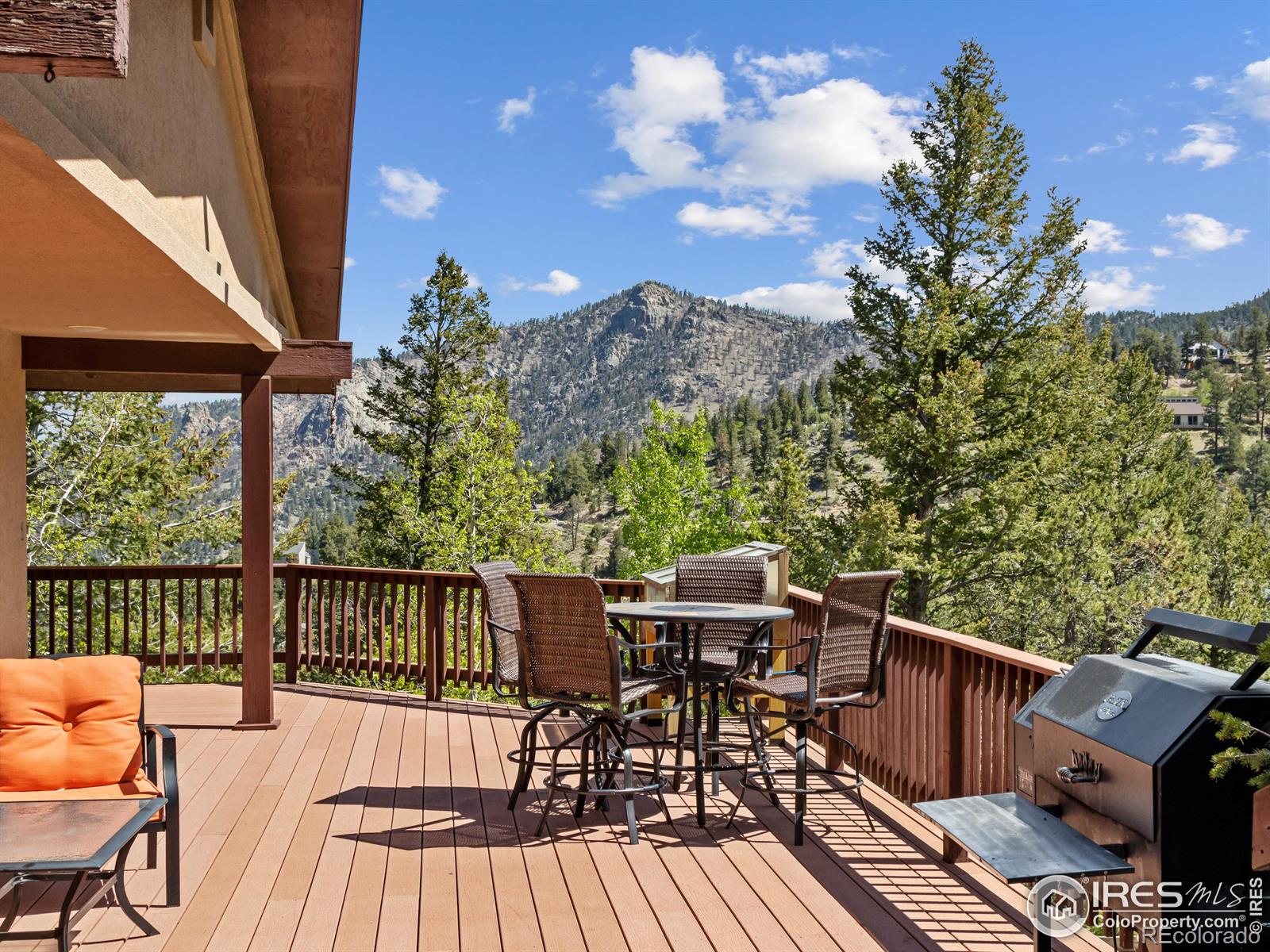 MLS Image #21 for 1673  black squirrel drive,estes park, Colorado