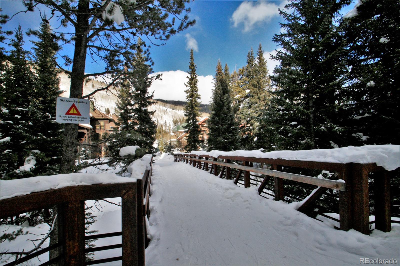 MLS Image #28 for 172  beeler place,copper mountain, Colorado